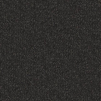 Anthracite - Kira By FibreGuard by Zepel || Material World