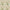 LF2230C Gertrude 3 Pink Green - LF2230C Gertrude By Linwood || Material World