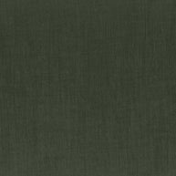 Forest - Lithgow By Maurice Kain || Material World
