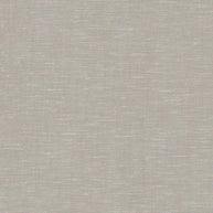 Camel - Locomotion By Zepel || Material World