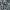 Pacific - Lorne By Maurice Kain || Material World