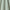 Emerald - Maala By ILIV || Material World
