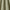 Sage - Maala By ILIV || Material World