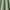 Sage - Maharani By ILIV || Material World