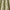 Pistachio - Malabar By ILIV || Material World