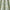 Sage - Malabar By ILIV || Material World