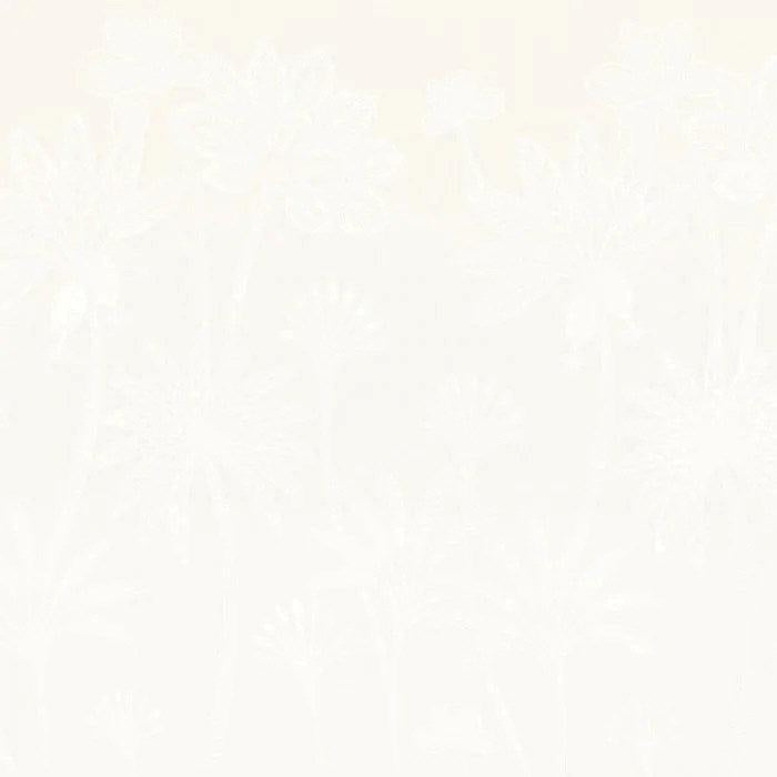 Milk - Maracujas By Camengo || Material World