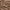 Clay - Messina By Warwick || Material World