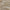 Linen - Messina By Warwick || Material World