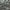 Mint - Messina By Warwick || Material World