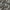 Sky - Messina By Warwick || Material World