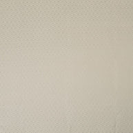 Champagne - Minori By Ashley Wilde || Material World