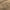 Clay - Modernist By Mokum || Material World