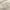 Linen - Modernist By Mokum || Material World