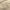 Sand - Modernist By Mokum || Material World