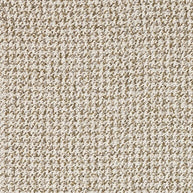 Moss - Magnetic By Warwick || Material World
