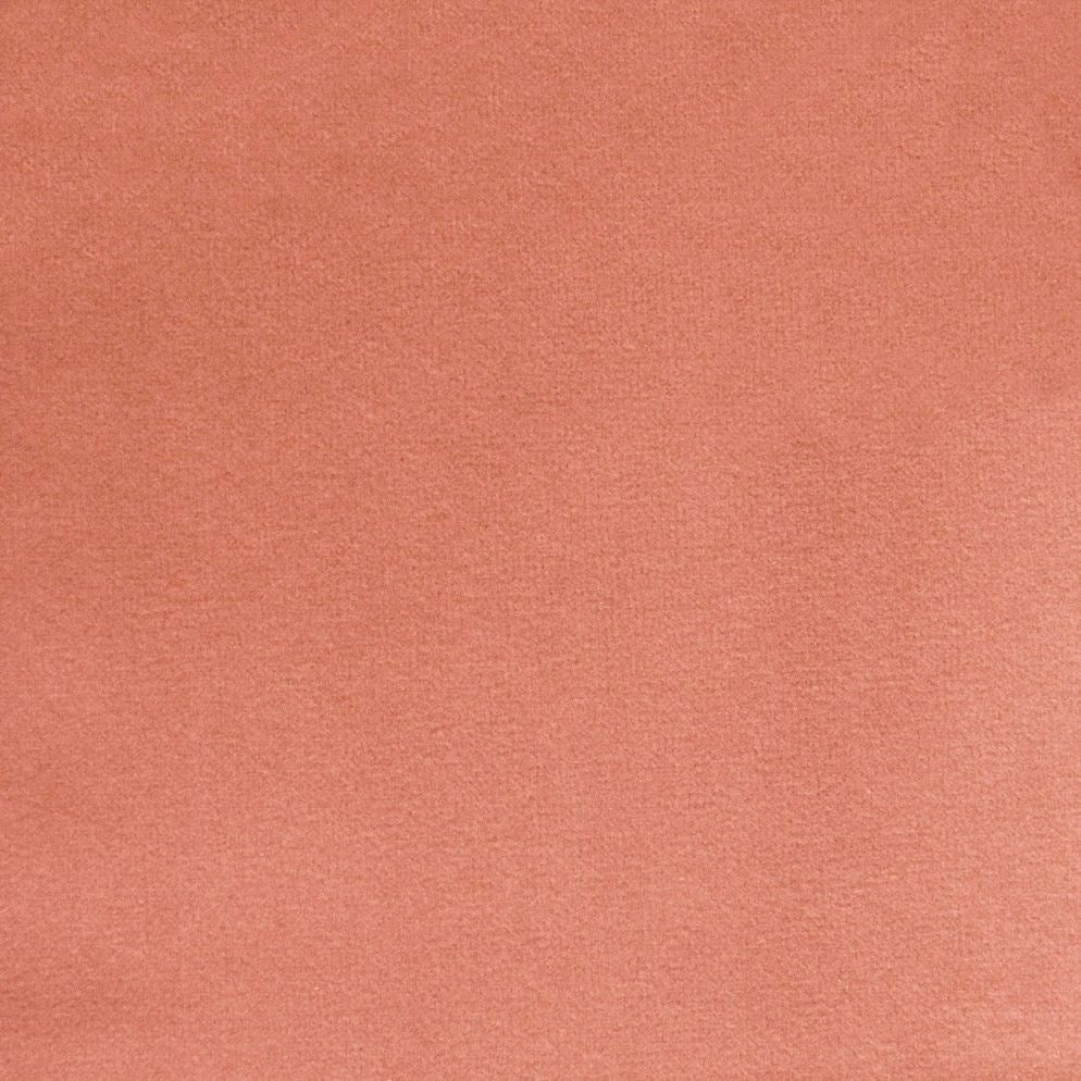 Rose - Novara By Warwick || Material World