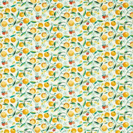 02 - Orange Blossom By Clarke & Clarke x Studio G || Material World