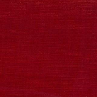 Chili - Orleans By Warwick || Material World