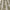 Thyme - Pembury By ILIV || Material World