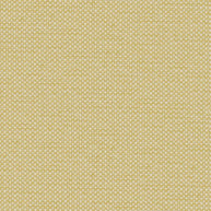 Honey - Perform By Zepel || Material World
