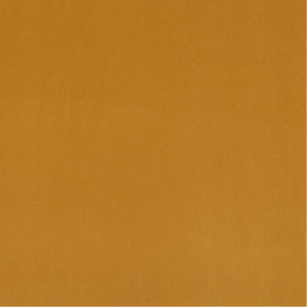 - Plush By Warwick || Material World