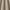 Forest - Pushkar By ILIV || Material World