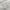 Stucco - Release By James Dunlop || Material World