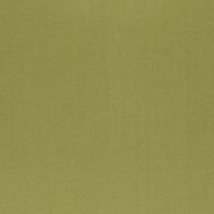 Turtle - Sateen 137 (South Face) By Zepel || Material World