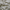 Birch - Southport By Maurice Kain || Material World
