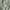 Duck Egg - Southport By Maurice Kain || Material World