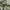 Forest - Southport By Maurice Kain || Material World