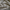 Husk - Southport By Maurice Kain || Material World