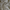 Natural - Southport By Maurice Kain || Material World