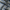Navy - Southport By Maurice Kain || Material World