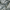 Teal - Southport By Maurice Kain || Material World