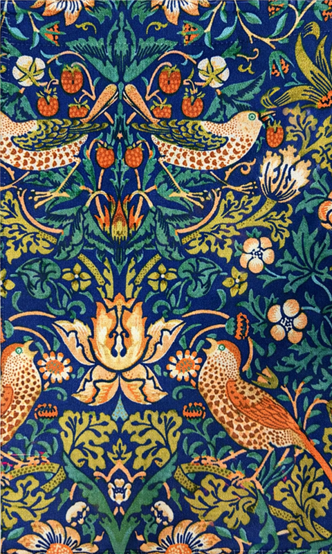 1013 - Strawberry Thief By Slender Morris || Material World