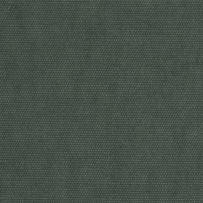 Kale - Tesoro By Linia || Material World