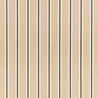 02 - Tiva By Romo || Material World