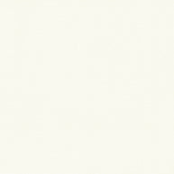  - Twilight By Warwick || Material World