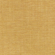 Honey - VIENNA V3565 By Villa Nova || Material World
