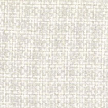 Ivory - Williamsburg By Warwick || Material World