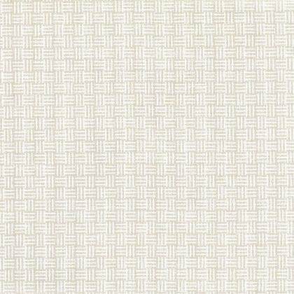 Ivory - Williamsburg By Warwick || Material World