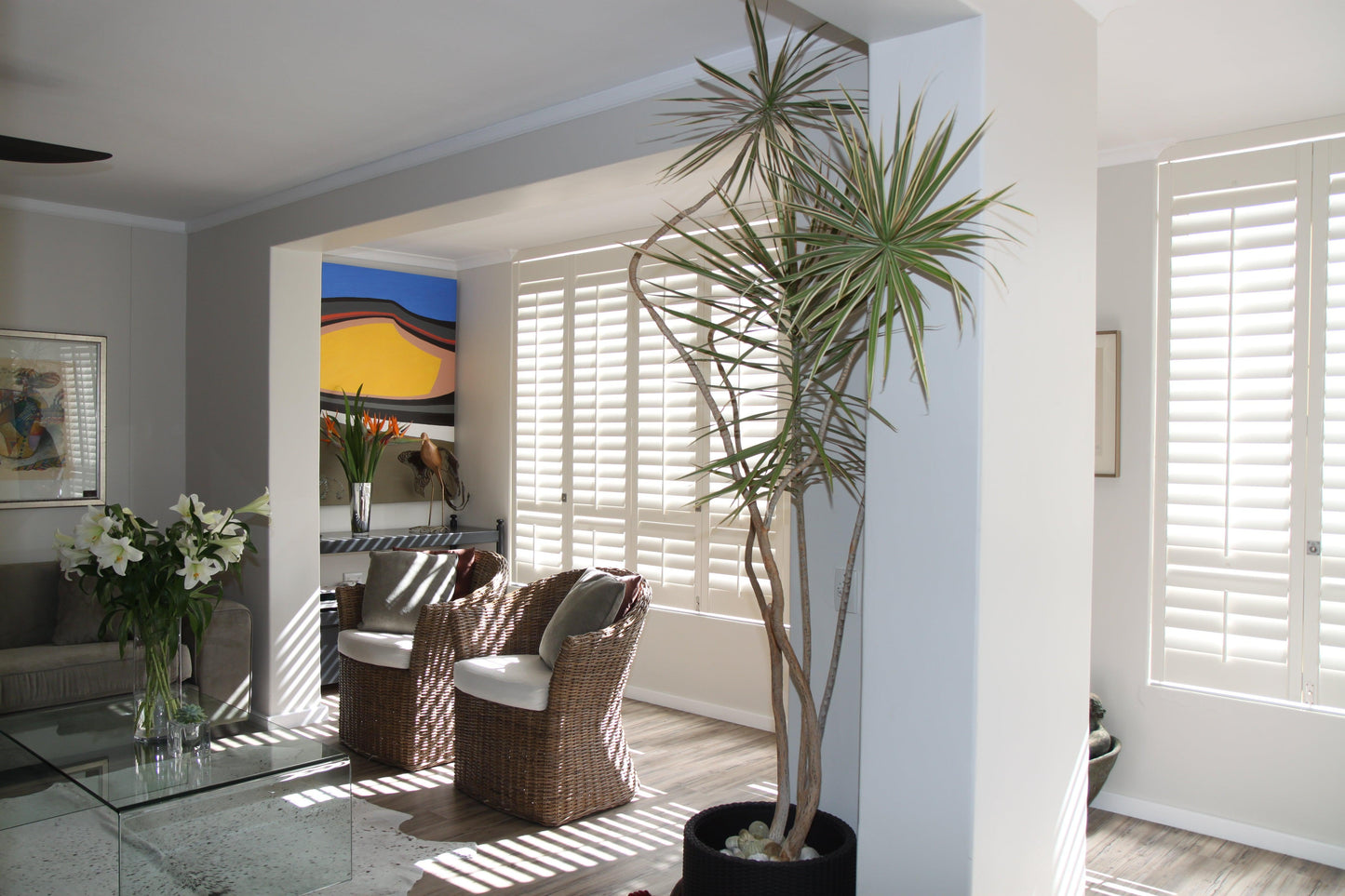  - Woodlore & Woodlore Plus Shutters By Norman By Norman || Material World