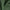 Jungle - Zeal By Zepel || Material World