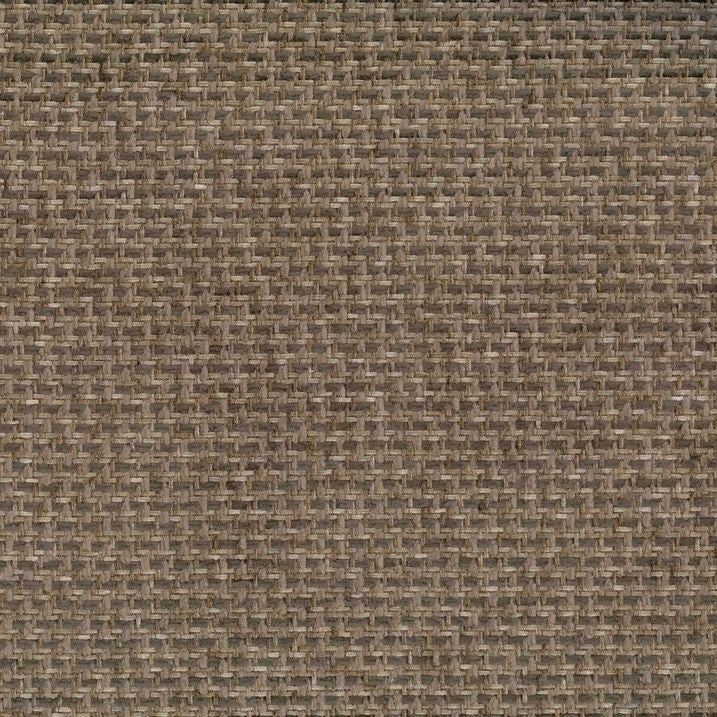 Chai - Compass By Warwick || Material World