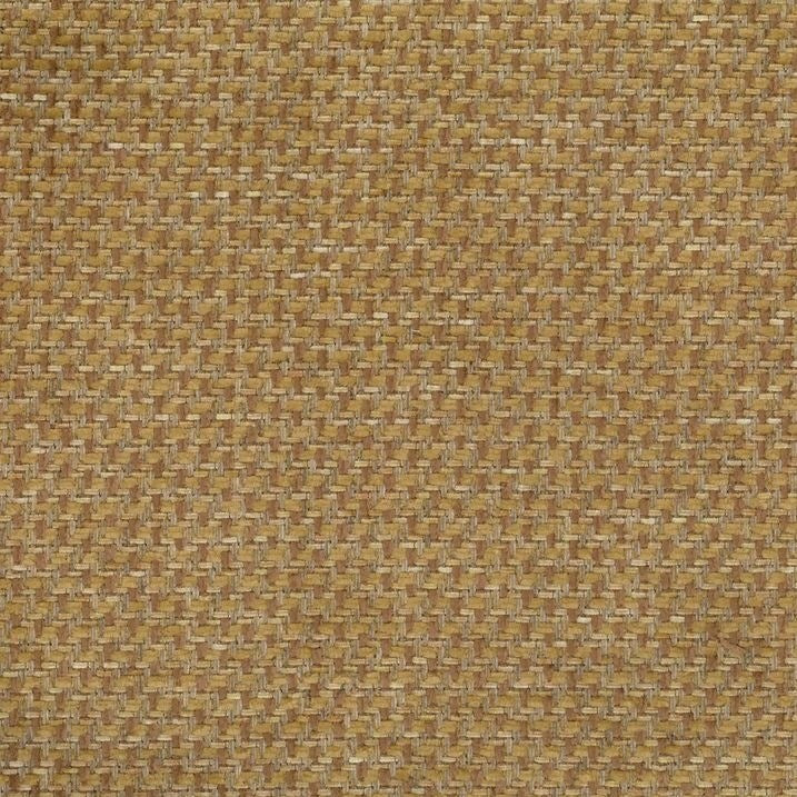 Donkey - Benito By Warwick || Material World
