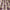 Berry - Acanthus By ILIV || Material World