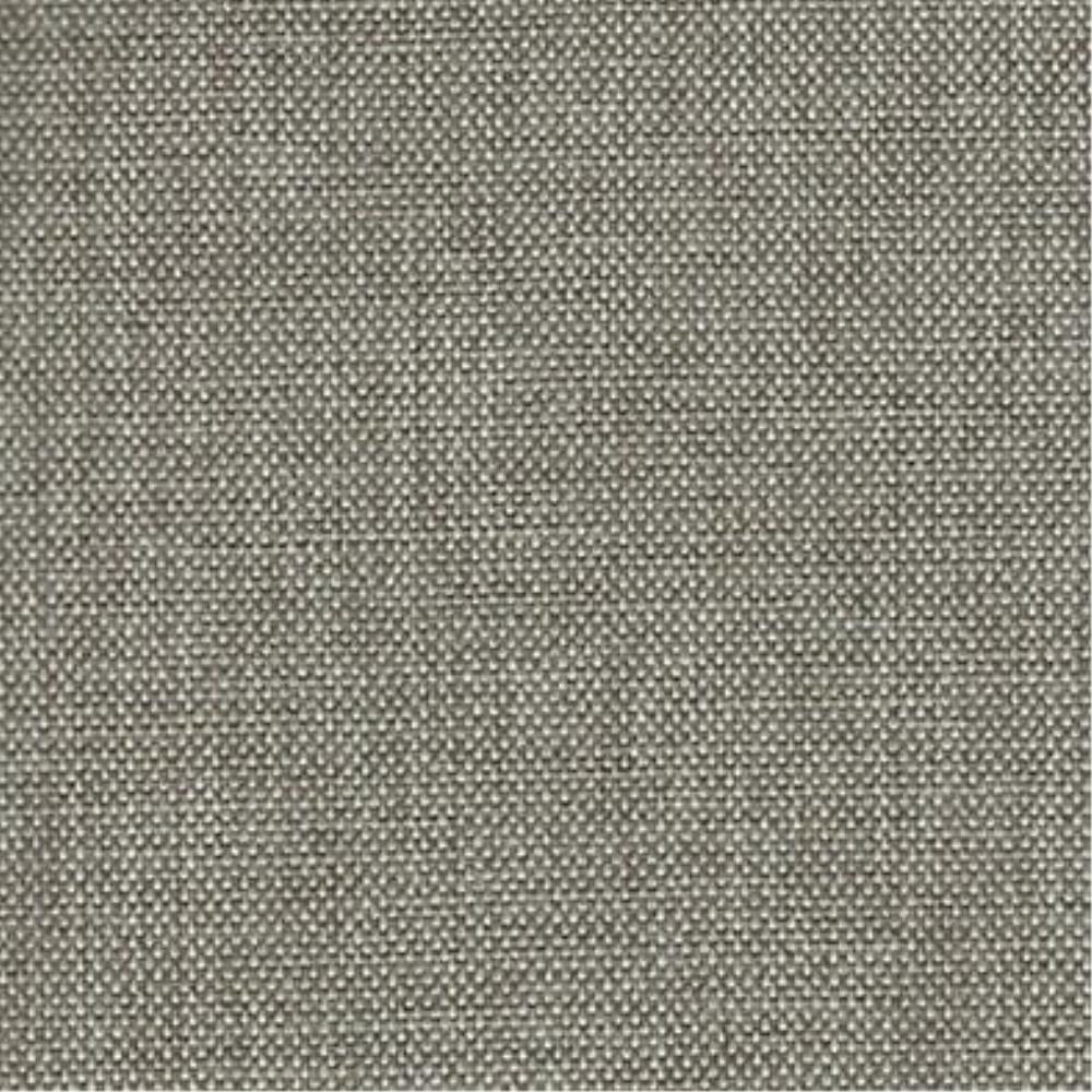 Birch - Access By Wortley || Material World