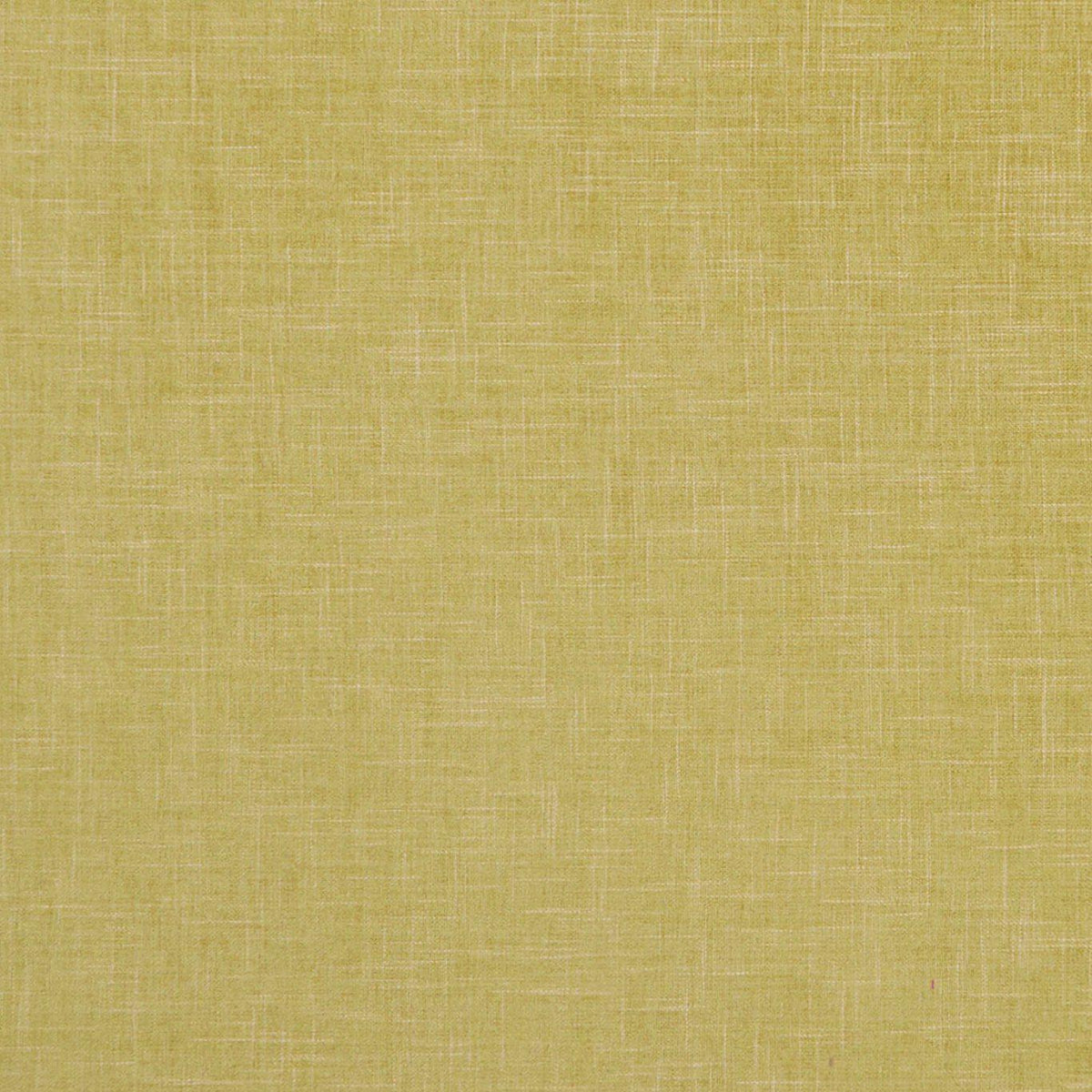 Citron - Albany By Clarke & Clarke || Material World
